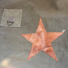 Morgan Star Bag